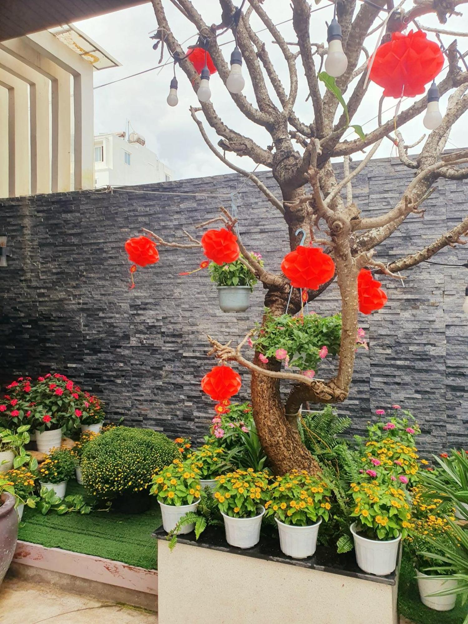 Animor Green Home Villa Đà Nẵng Exterior foto